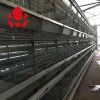 uae high quality egg collecting system poultry farm automatic hot dip galvanized chicken layers cage