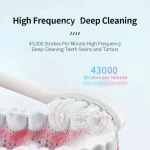 USB Rechargeable Sonic 43000 Vibration Mini Electric Toothbrush Slim Sonic Electric Toothbrush