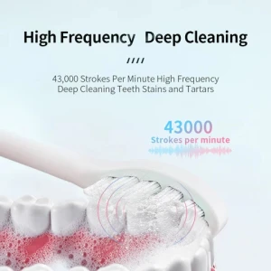 USB Rechargeable Sonic 43000 Vibration Mini Electric Toothbrush Slim Sonic Electric Toothbrush