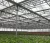 Import uv plastic sheets agricultural greenhouse price from China