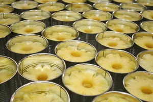 Vietnamese fruit pineapple in syrup tin can with ISO 22000:2005 but cheap price for OEM service and distribution