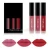 Import Waterproof Your Logo Lip Set Matte Private Label Long Lasting Liquid Lipstick Lipgloss Lip Liner Kit from China
