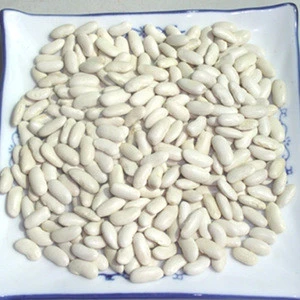 We Supply Best Quality White Kidney beans,Red and Black Kidney beans at cheap rate