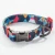 Import Well Made Deluxe Pet Dog Collar Fashion Pattern Pet Collar with Quick Release from China