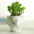 Import White Ceramic Flower Plant Pot Garden Elephant Planter With Saucer from China