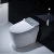Import White One Piece Automatic Bowl Toilet Smart Intelligent Smart Toilet from China
