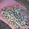 Wholesale bulk organic DRIED GREEN PEAS 25 kg