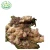 Wholesale Chinese Fresh Ginger with Good Price