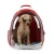 Import Wholesale Comfort Transparent Capsule Pet Backpack Carrier Bag for Small Animals from China