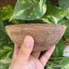 Wholesale Dry Semi Husked Coconut Shell Folk Crafts