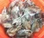 Import Wholesale fresh Cuttlefish/ Frozen Pineapple Cut Cuttlefish high Quality good price 2020 from Vietnam