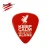 Import Wholesale Popular Band Guitar Picks from China