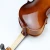 Import Wholesale Professional student   practice   Instrument Violin from China