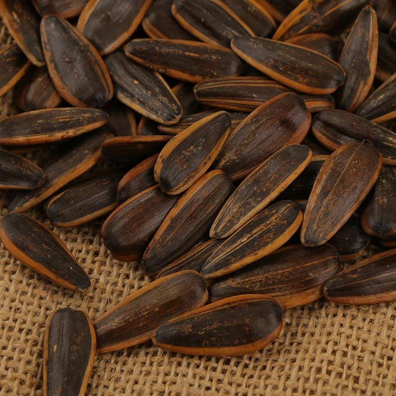 Wholesale Sunflower Seeds Of  Pecan Flavor Nuts