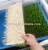 Import WholesaleNew hydroponics fodder machine ,wheat /barley fodder sprout system from China
