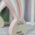 Import wooden craft MDF rabbit easter bunny Festive Greetings &quot;FROHE OSTERN&quot; Easter Gift home Decor Party Supplies from China