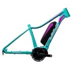 X-Cobra E200 Low price electric bike Hardtail mtb frame ebike frame for Shengyi Motor