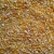 Import Yellow Corn/Maize for Animal Feed / YELLOW CORN FOR POULTRY FEED from South Africa