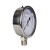 Import 0-250psi  stainless steel shell brass connection brass Bourdon tube hydraulic pressure gauge from China