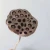 Import Wholesale Pastoral Style Natural Touch Home Decorative Dried Flowers Lotus Seedpod from China