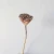 Import Wholesale Pastoral Style Natural Touch Home Decorative Dried Flowers Lotus Seedpod from China