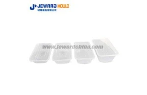PLASTIC PACKAGING MOULD 2023