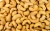 Import Raw Cashew Nuts For Sale  (ww320 ww180 ww240) from South Africa