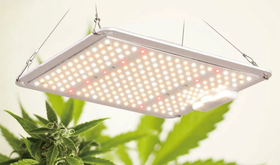 Buy Saturn Garden Plant Grow Lights Home Depot 200w Full Spectrum from