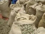 Raw cashew nuts