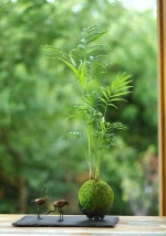 Faizee Nursery Farms