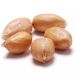 Natural Raw Peanut Bulk Packed With 99% Freshness And Rich Flavor Perfect For Wholesale And Large Scale Buyers