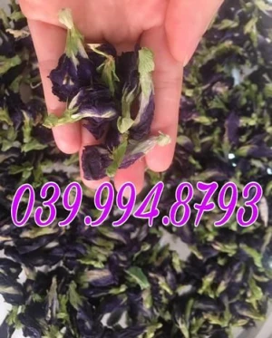 Dried Butterfly Pea Flower Tea_whatsapp 84399948793