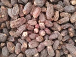 DRY DATES /DATES