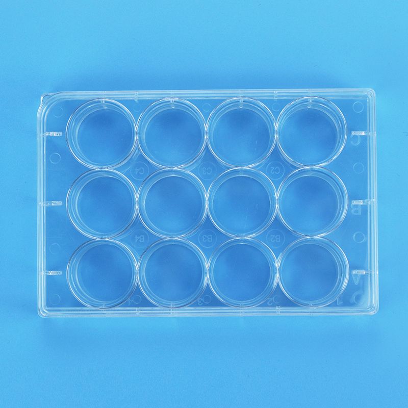 Buy Sterile 12 Well Cell Culture Plate Surface Tc Treated Flat Bottom