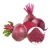 Import Organic Beetroot powder from USA