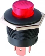 Push Switch - R13-553
