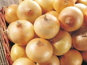 High Premium Sweet Red Natural Fresh Onion For Sale