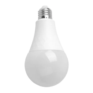 Legend led bulb lights Fujiram manufacturer OEM ODM e14 e26 e27 b22 a19 a20 a21 G45 C37 a60 a70 a80 a90 a95