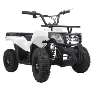 Gas Powered 50cc ATV – Youth Mini Quad Bike for Outdoor Riding with Front Shelf and Trunk