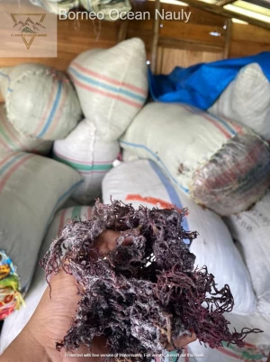 dried seaweed from indonesia