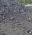 Import Coal from Indonesia