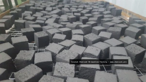 Coconut Shell Charcoal Briquette