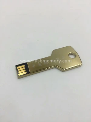 SK-004 customized 4gb 8gb aluminium key usb memory stick