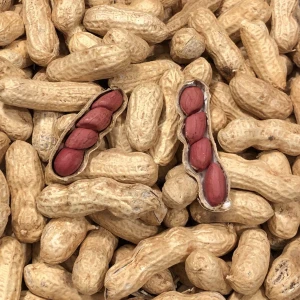 Red peanuts Kibaco