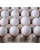 Import Quality Broiler Hatching Eggs White Color 100% Pure Eggs at Reasonable Price from South Africa