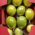 Import Passion Fruit from Ecuador from Ecuador