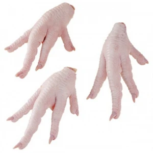 Halal Processed Grade A Frozen Chicken Feet & Paws