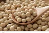 Premium Nutritional Soybeans, Non-GMO Grade