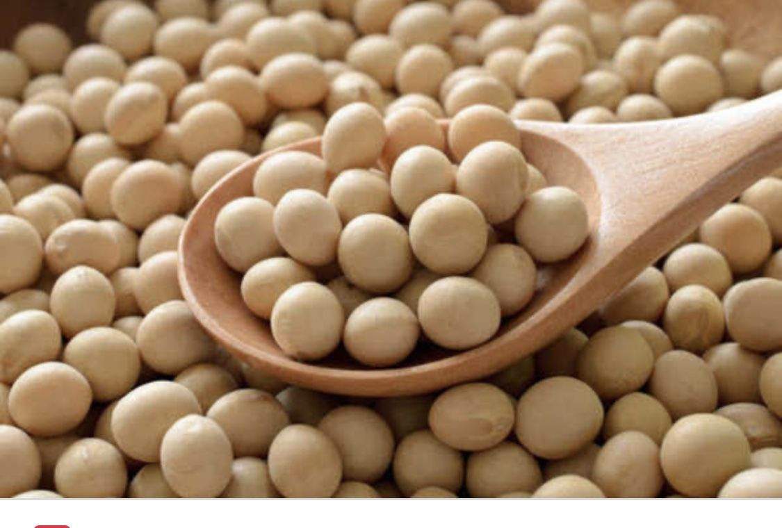 import-soya-beans-from-nigeria-find-fob-prices-tradewheel