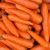 Import HIgh End Export Quality Fresh Carrots from China